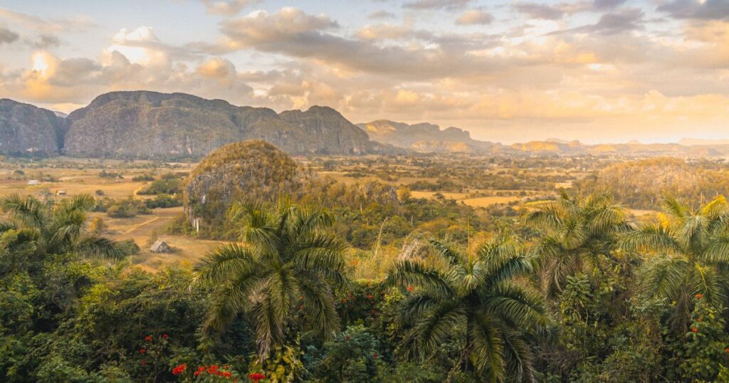 Parque Nacional Viñales - Das saftig grüne Vinales Tal mit Kalksteinfelsen, Palmen und grünen Hügeln. 