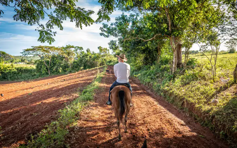 Reiter auf einem Pferd im Viñales-Tal auf roter Erde, umgeben von Tabakfeldern und Karstbergen