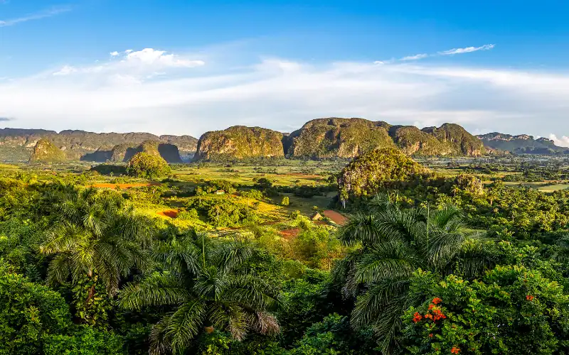 Panoramablick über das Viñales-Tal in Kuba mit Mogotes, Tabakfeldern und tropischer Vegetation – ein Highlight der klassischen Tour.